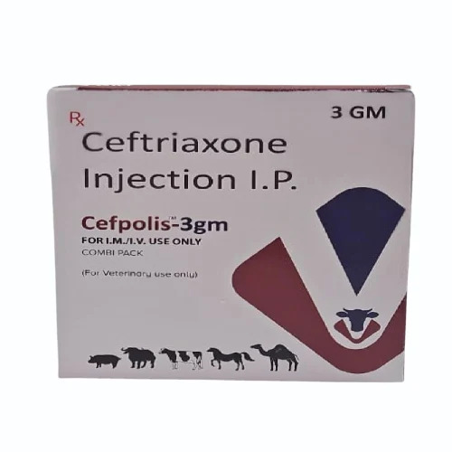 3gm Ceftriaxone Injection IP For Veterinary