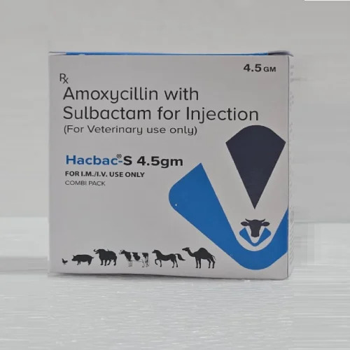 4.5gm Amoxicillin Sulvactam Injection For Veterinary