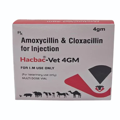 Amoxicillin Cloxacillin Injection For Veterinary