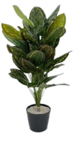 Artificial Diffen Leaves Plant