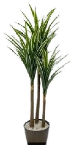 Artificial Dracaena Plant With Fibre Trunk