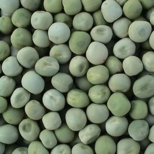 Green Pea Seeds - Color: Light Brown