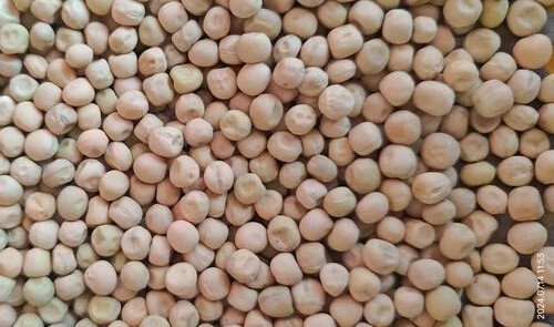 Harbhajane Kasmire Pea Seeds