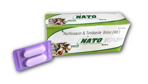 Norfloxacin And Tinidazole Bolus - Veterinary Medicine Tablets for Cattle | Prescription Required, Effective for Various Conditions