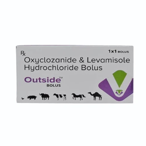 Oxyclozanide And Levamisole Hydrochloride Bolus For Veterinary