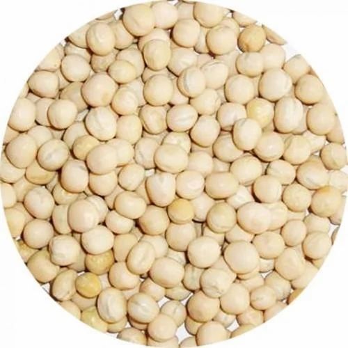 Pure Pea Seeds - Color: Light Brown