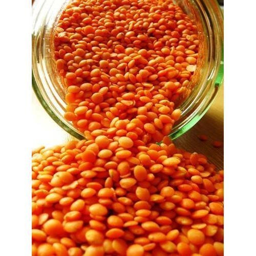 Red Lenti - Organic Dried Masoor Lentils | Round Shape, Pure Color-Red, Ideal for Cooking