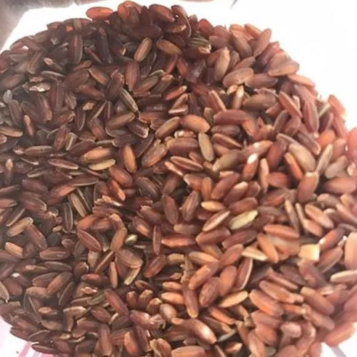 Red Rice - Admixture (%): Na