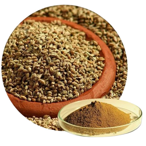 Ajwain Powder - Fresh & Natural Dried, 100% Pure, Very Good Quality | Food Grade, Brown Powder, Good for Health