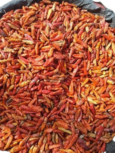 Bird Eye Dried Chilli