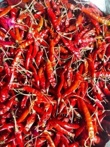 Dred Red Chillies