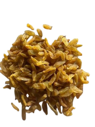 Golden Raisins - 250g Kishmish, Sweet Taste, Seedless, Sun-Dried, Oval Shape, A-Grade Quality, 100% Pure, Healthy Snack
