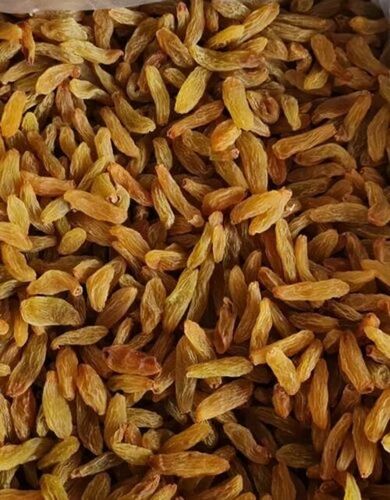 Long Yellow Raisins - 100% Pure, 15% Moisture | Sweet Taste, Sunlight Dried, Seedless, Grade A, 15 Kg