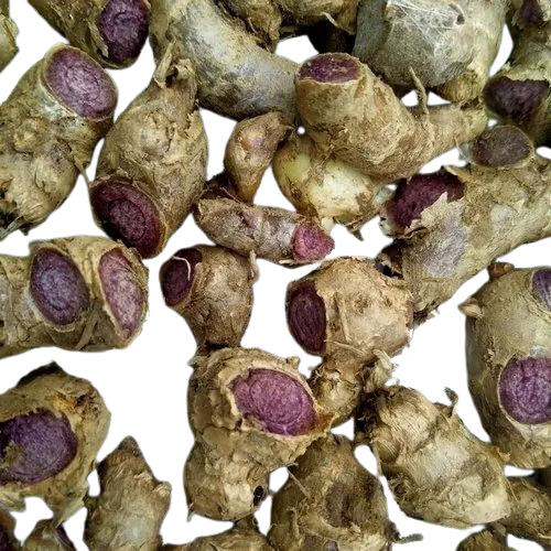 Organic Black Ginger