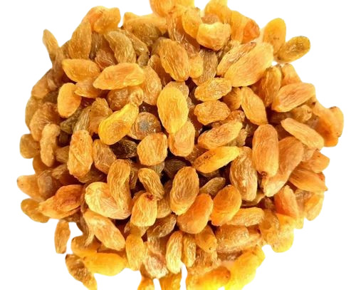 Premium Golden Raisin - 15 Kilograms Seedless Sweet Taste Elongated Shape Golden Color Sunlight Dried 100% Maturity Shelf Life: 3 Months