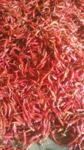 Red Chillies - 99% Pure, Whole Dried Chillies | Very Good Quality, Fresh Natural Flavor, Good for Health