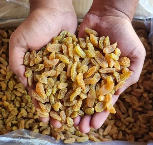 Yellow Raisins - 15 Kilograms, 100% Pure Seedless, Sweet Taste, Sunlight Dried, Very Good Quality, Elongated Shape, Standard Size, 6 Months Shelf Life, Good for Health