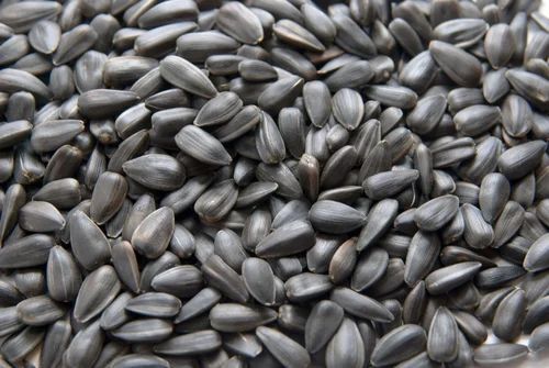 Dried Sunflower Seeds