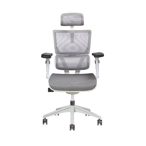 Ecstasy Ergonomic Office Chair