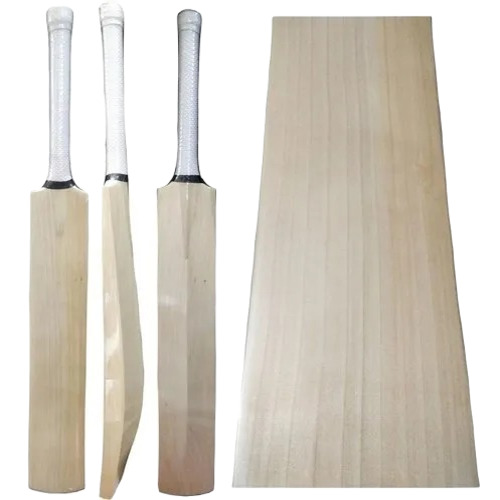 English Willow Cricket Bat