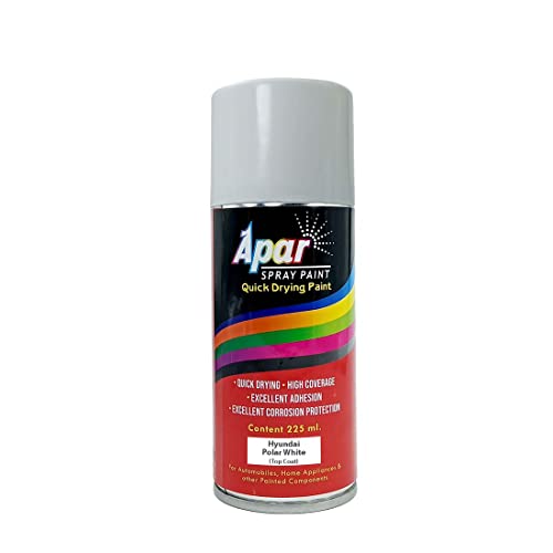 Apar Spray Paint Can