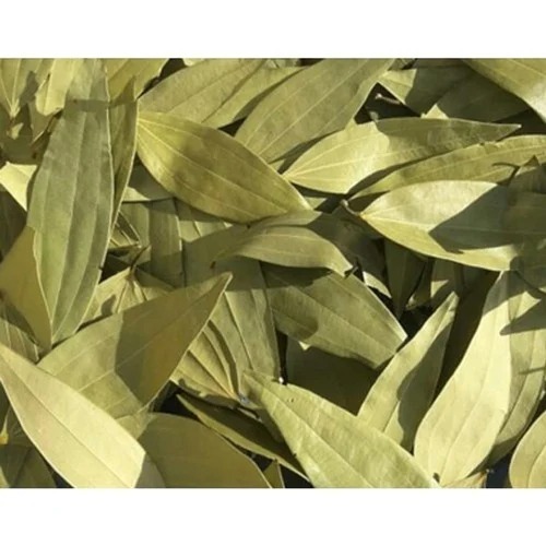 Bay Leaf - Organic Sun Dried Whole Leaf, Good Quality Green Color | Dried Culinary Herb, 12 Month Shelf Life, Cool and Dry Storage