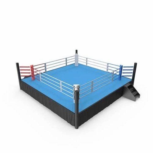 Mini Boxing Ring