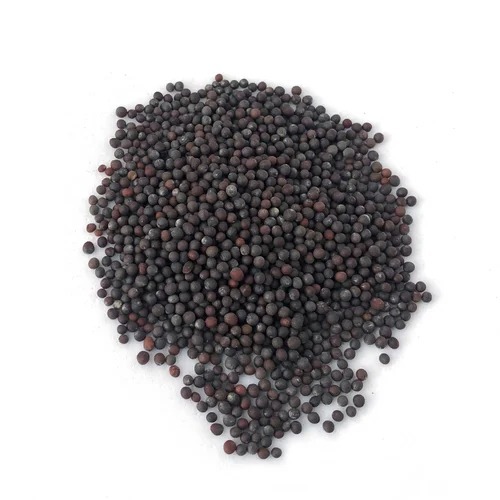 Mustard Seed - Organic Black Mustard, Sun Dried, 100% Purity, Low Moisture 8% | Ideal Cooking Spice Seed, Good Quality