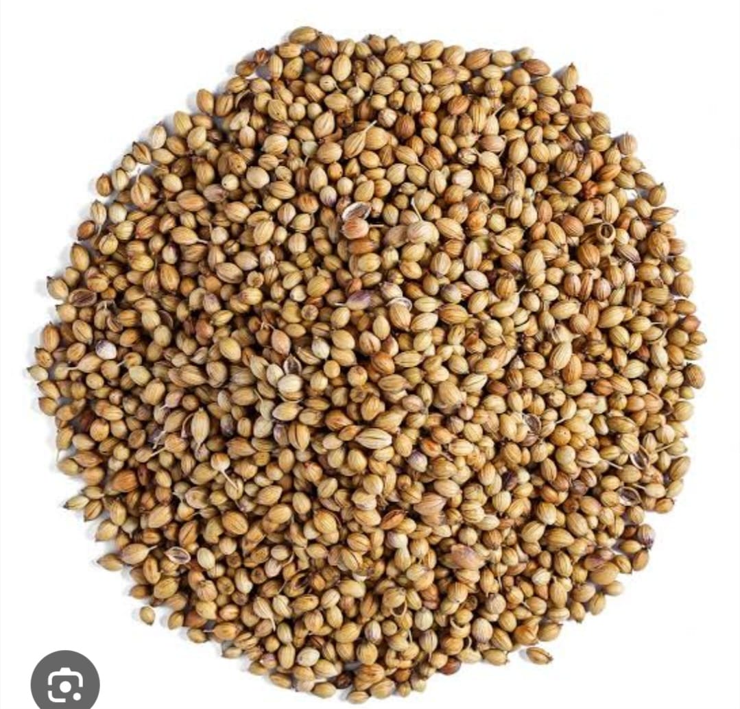 Pure Dried Coriander Seeds - 99.9% Purity, Long Shelf Life with Rich Aroma and Quality Testing Standards