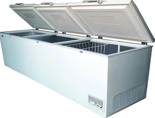 Western Deep Freezer - 325 Litre Double Door, Medium to Large Size, White & Green, Stainless Steel Material