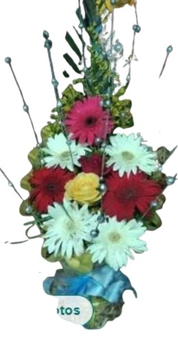 Multi Color Bouquet - Lightweight Various Sizes Available | Long Lasting Freshness Perfect for Ceremony or Party Decoration Timely Delivery Quality Tested