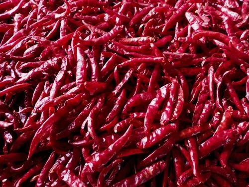 Dry Red Chillies - Natural Dried, 100% Purity, Whole Pieces, Very Good Quality, Food Grade, Spicy Taste, Good for Health