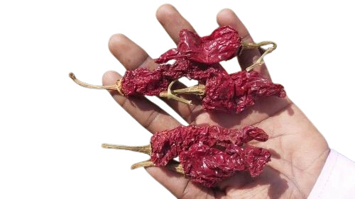 Kashmiri Red Chillies - Fresh Natural Dried, 100% Pure Food Grade With Health Benefits