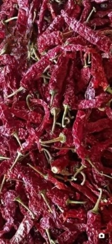 Syngenta Dry Red Chilli