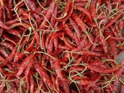 Teja Red Chilli - Natural Dried, Whole Pieces | 100% Purity, Very Good Quality, Spicy Taste, Good for Health