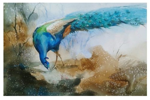 Beautiful Peacock Watercolor Painting