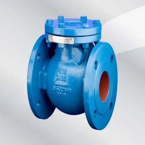 Cast Iron Check Valve