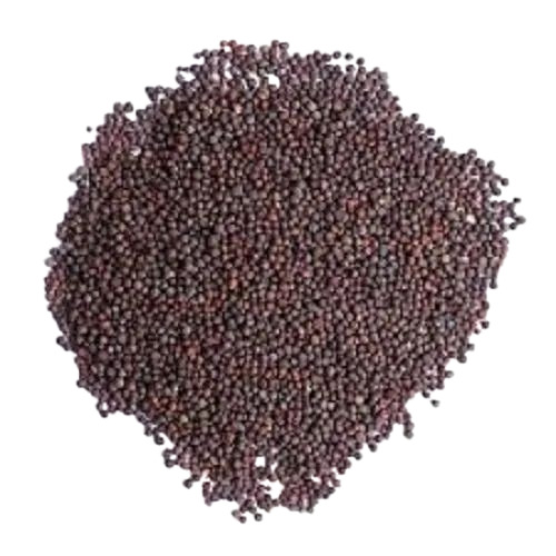 Mustard Seed - Black, 100 Kg PP Bag | 100% Purity, Premium Quality