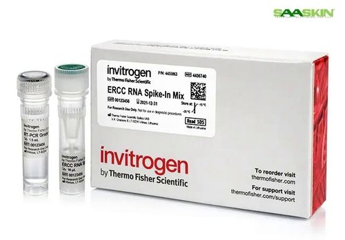 Invitrogen Ercc Rna Spike-in Mix