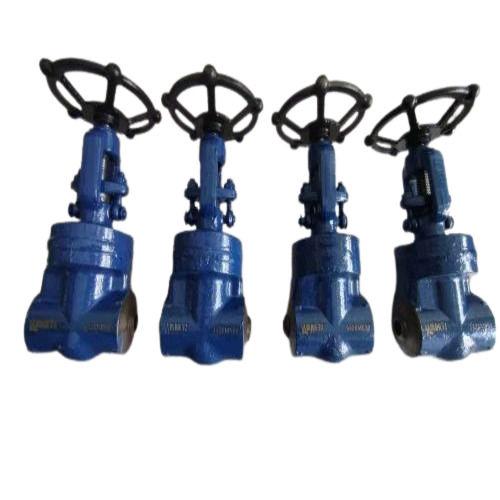 Steam Globe Valve