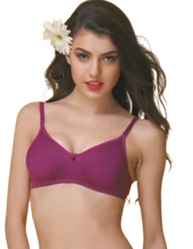 Seamless Bra - Multisizes, Skin Friendly, Quick Dry, Easy to Wear, Comfortable Fit, Anti Bacterial, Hand Wash Only