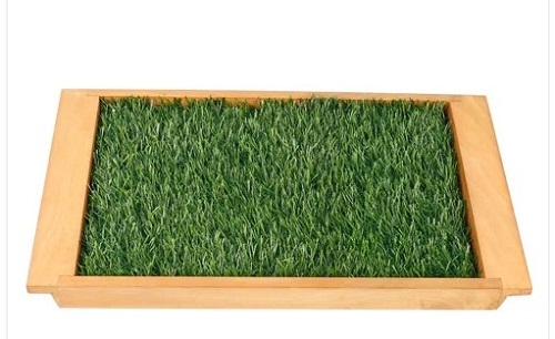 Grass Wooden Serving Tray - Wood Material, Various Sizes Available, Rectangular Shape, Various Colors, Glossy Surface Finish | Customize, Easy to Clean, Tested on Quality Standards