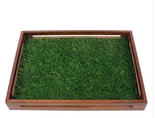 Grass Wooden Tray - Wood Material, Rectangular Shape, Various Sizes & Colors Available - Lightweight, Customizable, Easy to Clean, Glossy Finish