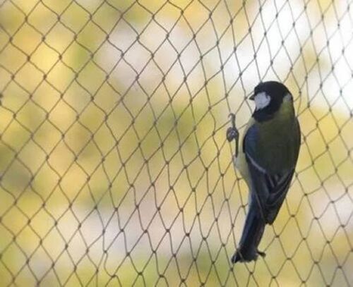 Anti Bird Net - Premium Nylon, Lightweight Design , Weatherproof and Non-Toxic Fine Mesh