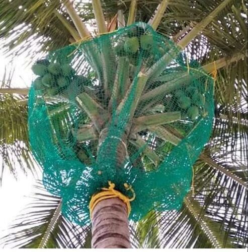 Coconut Safety Net - Nylon Material, UV-Resistant Green Netting | Tear-Resistant, Weatherproof, Heavy-Duty, Easy Installation, Flexible Design, Fire Retardant