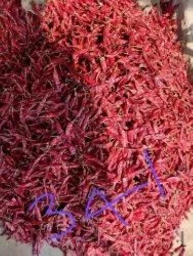 Dry Red Chilli - Premium Grade, Optimum Quality | Spicy Flavor, Deep Red Color, Natural Heat, Rich in Antioxidants, Versatile Use, Long Shelf Life, Pungent Aroma