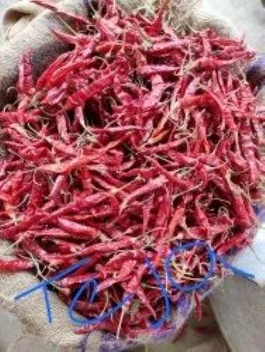 Teja Dry Red Chilli - Premium Quality Dried Spicy Chilli | Deep Red Color, Natural Heat, Rich in Antioxidants, Pungent Aroma, Long Shelf Life, Versatile Culinary Use