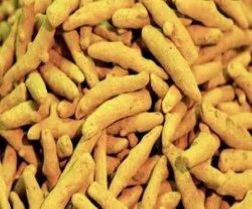 Turmeric Finger - Premium Quality Dried Solid Spice | Bright Yellow Color, Rich in Curcumin, Anti-Inflammatory Properties, Strong Aroma, Versatile Use, Bitter Flavor, Natural Antioxidant