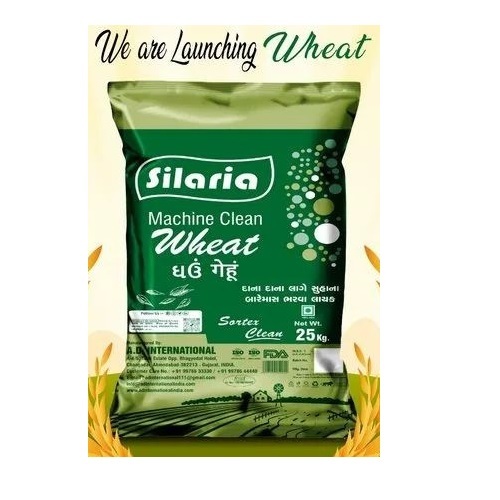 Indian Silaria Wheat