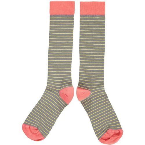 Ladies Stripped Cotton Socks - Age Group: Kids